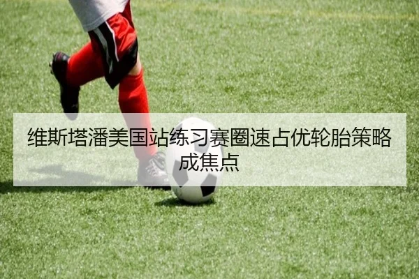 维斯塔潘美国站练习赛圈速占优轮胎策略成焦点 | MILANSPORT